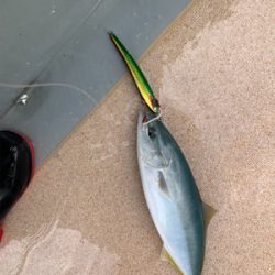 ドリームチェイサーさんにて