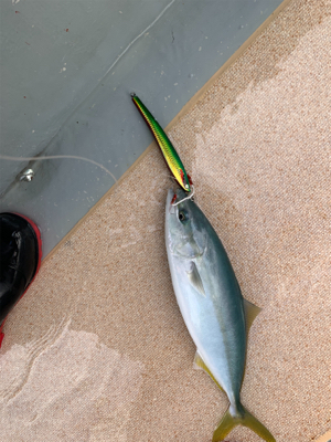 ドリームチェイサーさんにて