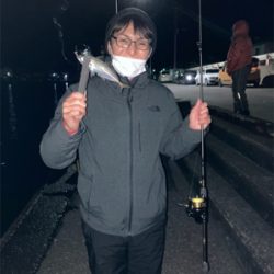 アジ カマス サバ タカべ