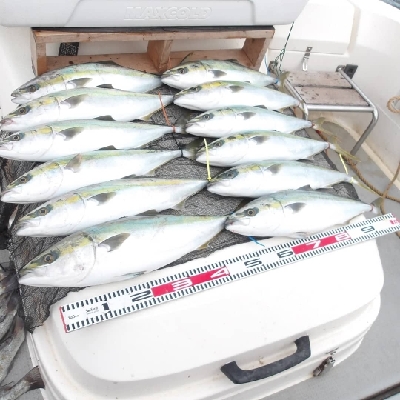 遊漁船SOUTH(サウス)釣果