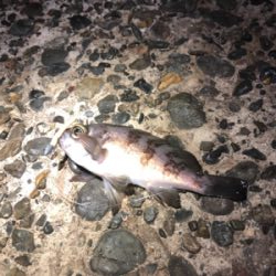 サイズが出ない。