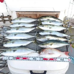 SOUTH(サウス)釣果