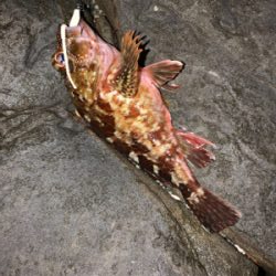 フロートメバリング壱ノ型