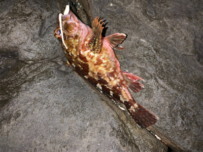 フロートメバリング壱ノ型