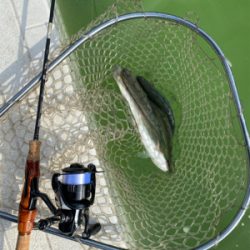 服部緑地、今日暑い。気温が・・・。