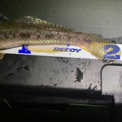 釣れない時に、時を戻そう。