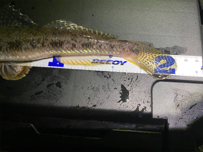 釣れない時に、時を戻そう。