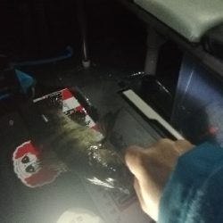 フロートメバリング