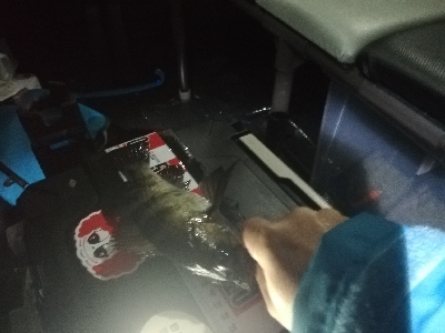 フロートメバリング