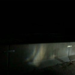 ヤリイカ釣れず。。