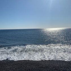 今年の初釣行狙うは居残りカツオ！