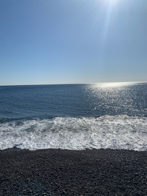 今年の初釣行狙うは居残りカツオ！