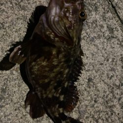 ライトゲーム‼︎