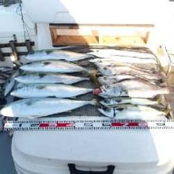 SOUTH(サウス)釣果