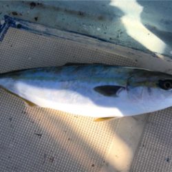 天気はいいのにょ