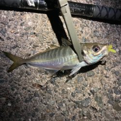 2021 やっと釣り初め