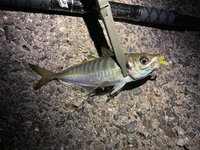 2021 やっと釣り初め