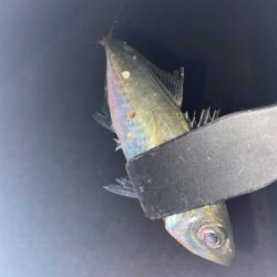 フロートアジング