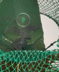 ポート田尻さんにて