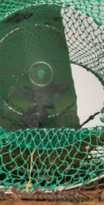 ポート田尻さんにて