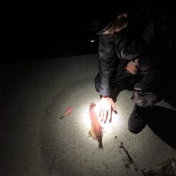 まだ早いかと思いきや