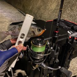 仕事終わりの釣行