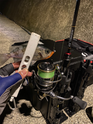 仕事終わりの釣行