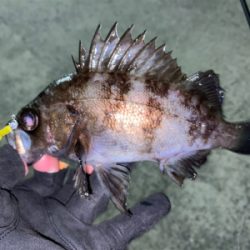 短時間ライトゲーム