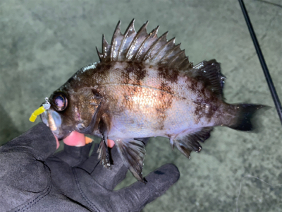 短時間ライトゲーム