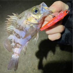 常夜灯プラッギング