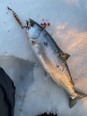 今シーズン初戦&開花