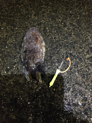 こうちゃんが食べたくて