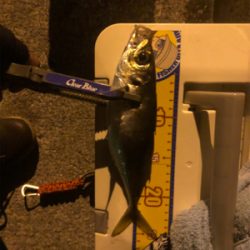 コルトux 612ウロコ付け