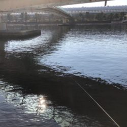 本年エビ撒き初ハネ