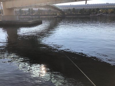 本年エビ撒き初ハネ