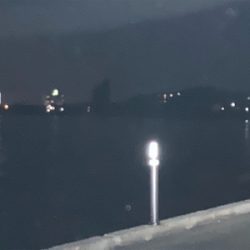 久々に風が弱い！