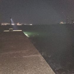 古宮で超爆風釣行