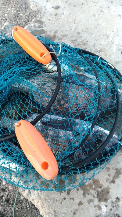 1/10釣果極寒の中チヌ釣れました！