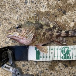 2020ファイナルRIDEON！