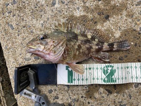 2020ファイナルRIDEON！