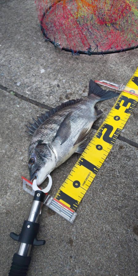 明けましておめでとうございます。