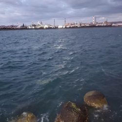 アジング～ガシリング～メバリング