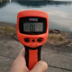 久しぶりにエギング