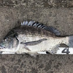 イチノ兄弟、釣果！