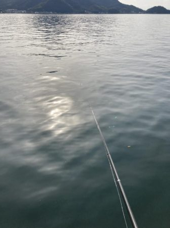 黒メバルやらチヌやら