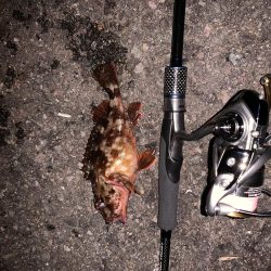 ガシリング！！