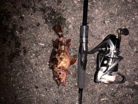 ガシリング！！