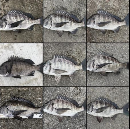 イチノ兄弟、釣果！