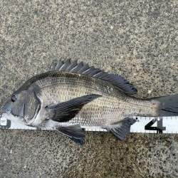 イチノ兄弟、釣果!