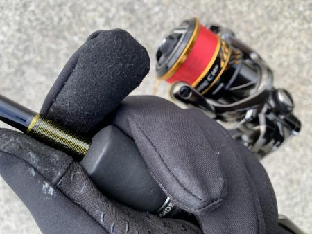 朝まずめ30分勝負！